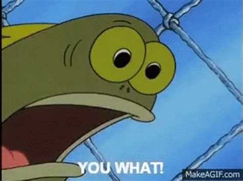Spongebob Fish GIFs .